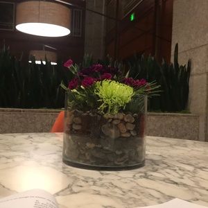 Meet your Posher, Claire